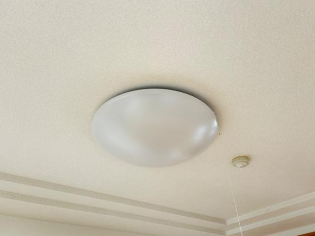 ペティハウス弐番館302号室 照明