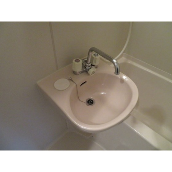 ハイグレイス・Ｔ0205号室 洗面ボール