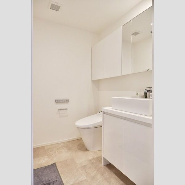 プライムメゾン森下WEST413号室 洗面所