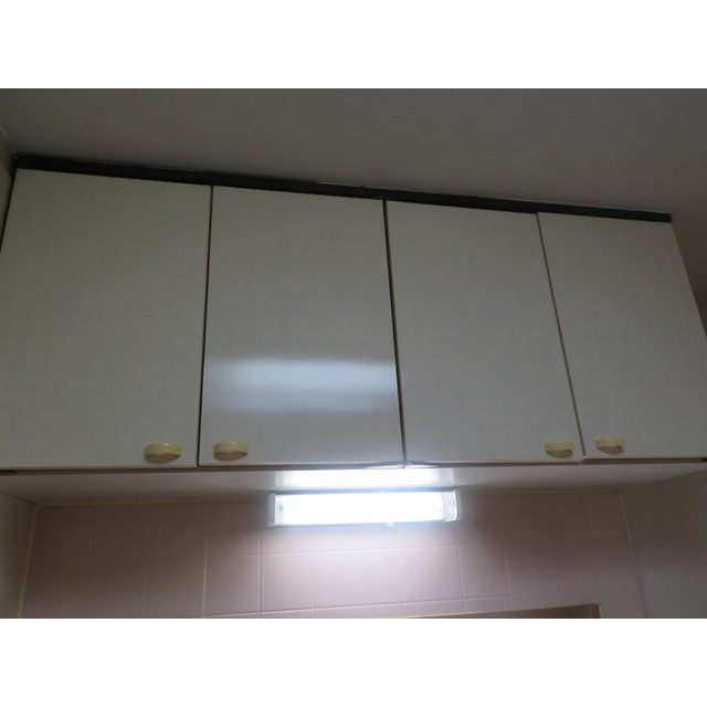 ハイムけやき0203号室 キッチン上部収納