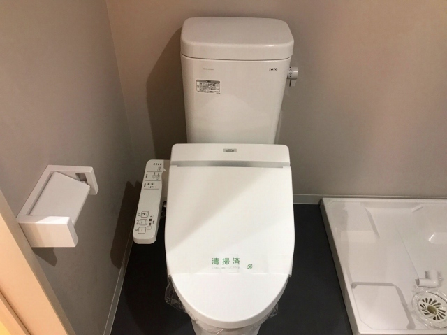 ＡＸＩＳ　ＴＡＣＨＩＫＡＷＡ1階 トイレ