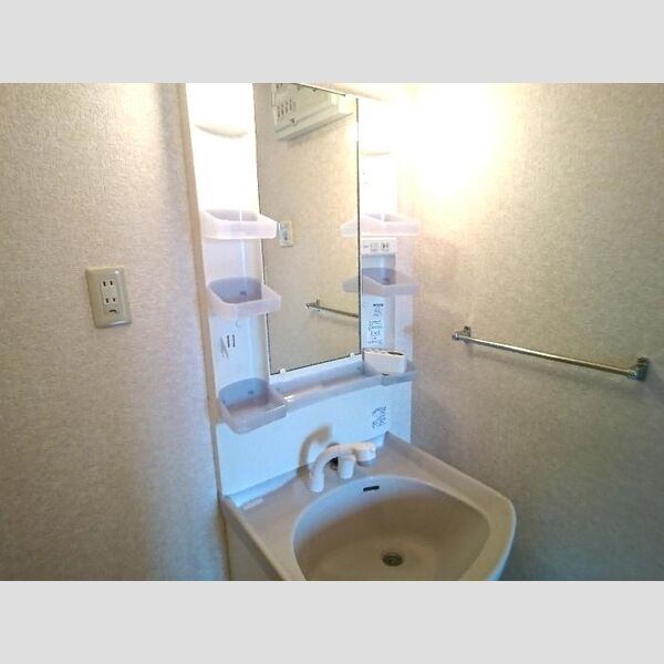 トマトハイツ　一/二/三番館1-202号室 洗髪洗面化粧台