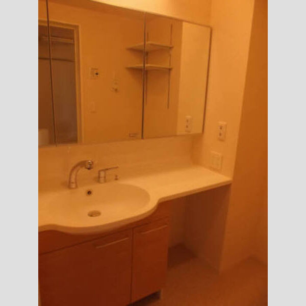 ステラタウン プルケリマ203号室 洗髪洗面化粧台