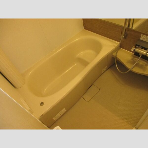 レグルス103号室 浴室