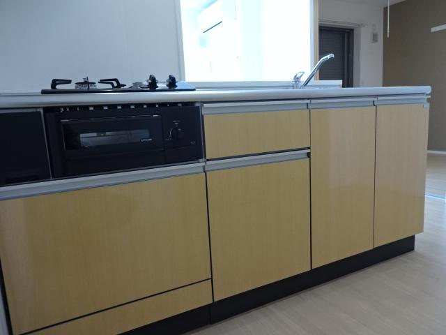 Ritz Solius Ｓouthwing キッチン