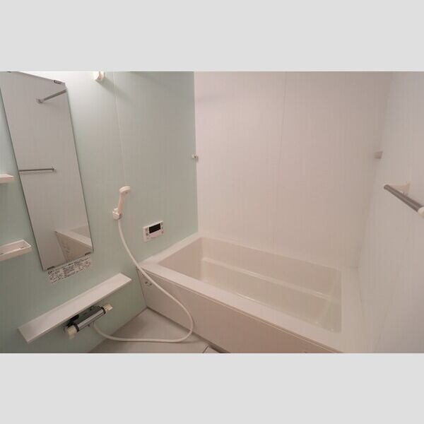 ロイジェントパークス レイクタウン Ⅲ　H108号室 浴室