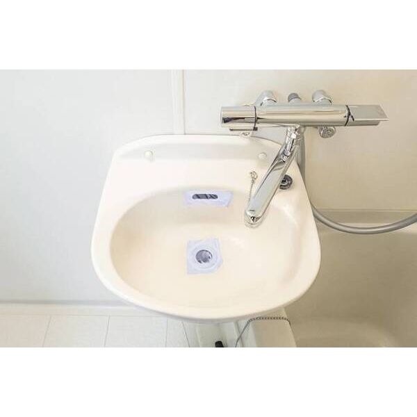 ロイヤルエモンド藤沢0202号室 洗面