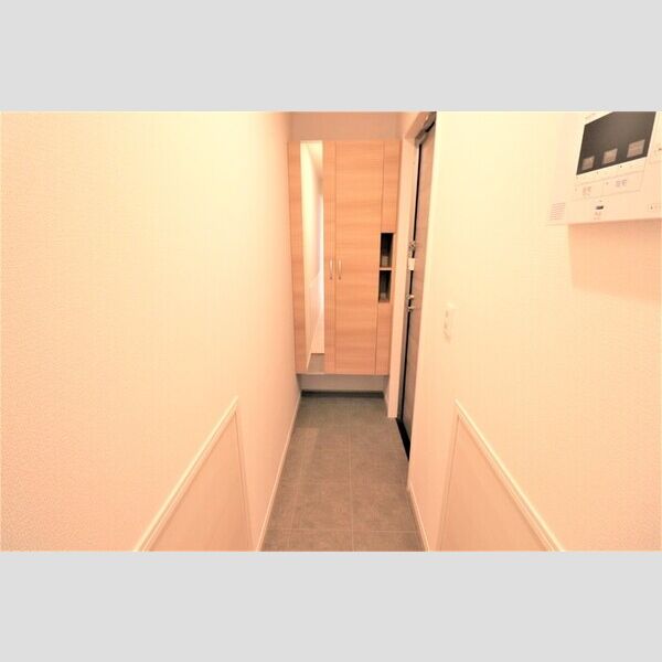 Tスクエア越ヶ谷205号室 玄関