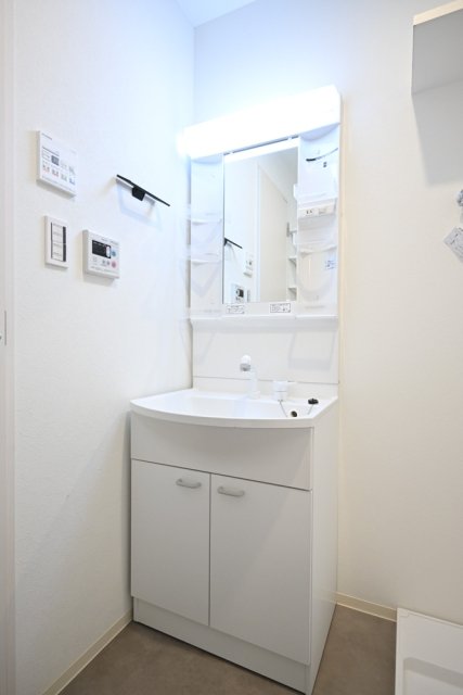 フェリデンシア御嶽山4階 洗面