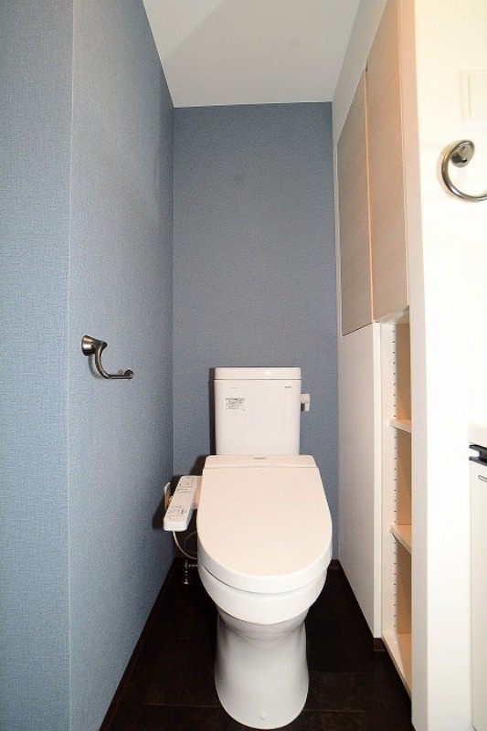 ステージグランデ八王子 トイレ