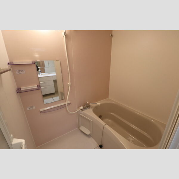 プラザ・デル・ソル307号室 バスルーム