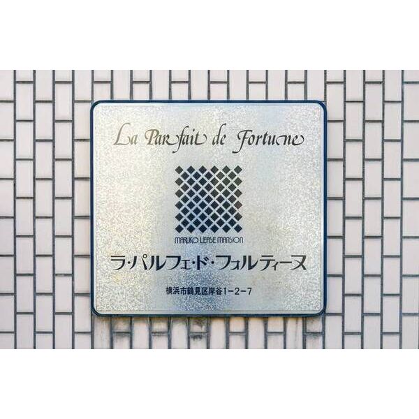 ラ・パルフェ・ド・フォルティーヌ0506号室 部屋その他