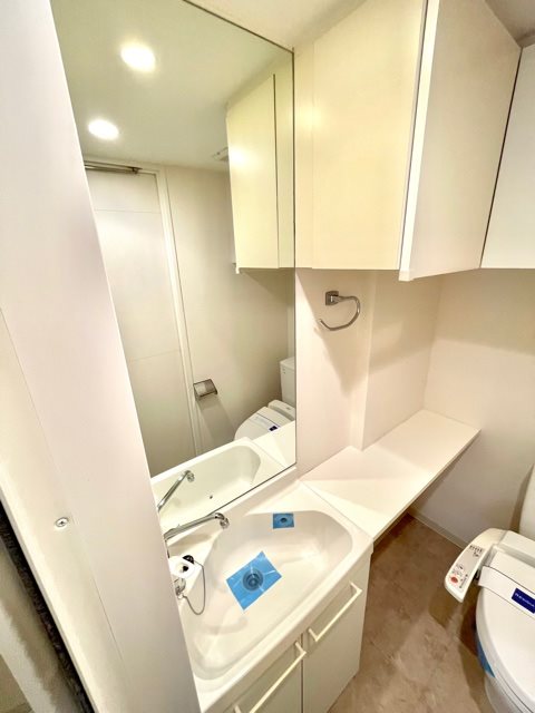 レジディア市谷薬王寺6階 洗面