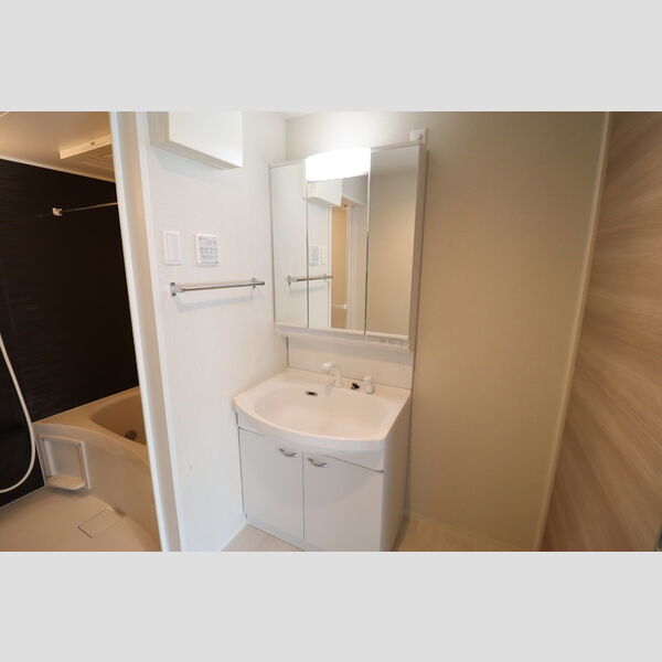 Blanc Neige Nishichiba(ブラン　ネージュ)201号室 洗髪洗面化粧台