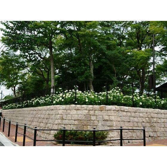 ブライズ西荻窪0102号室 周辺