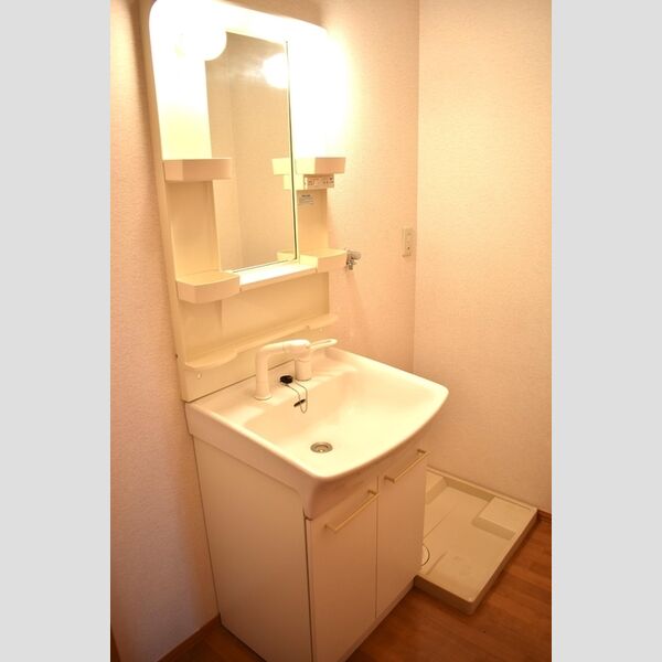 グレイスコートⅡ 洗髪洗面化粧台