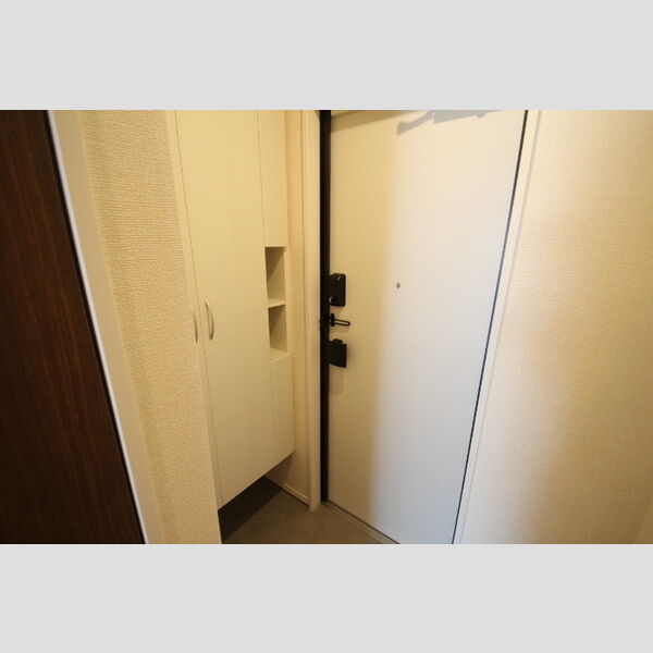 アンジュール新田303号室 玄関