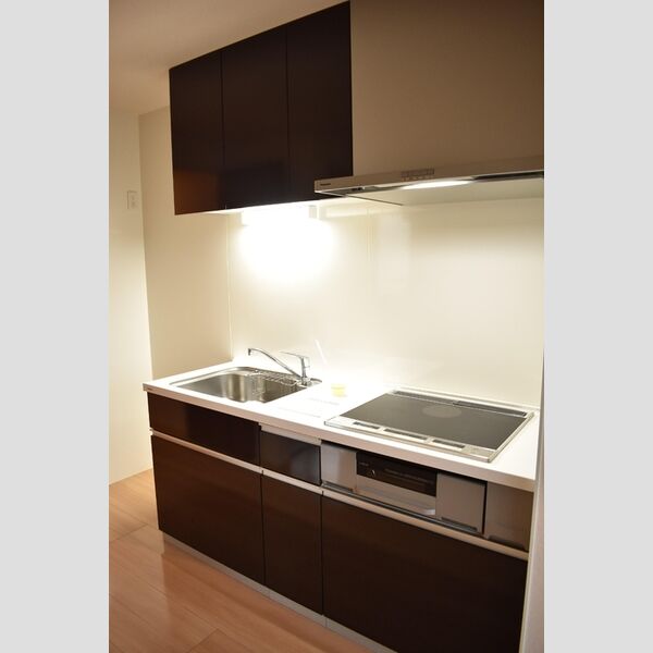 フローラ306号室 システムキッチン