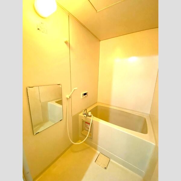 トルペプラザ101号室 浴室