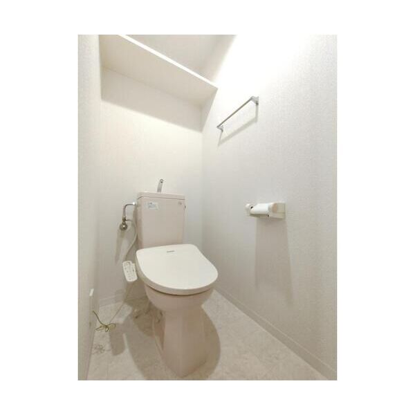 メゾン・ダテ301号室 トイレ