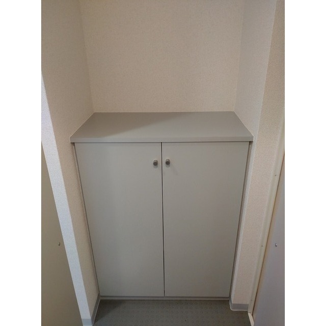 ダイヤモンドレジデンス幡ヶ谷0201号室 靴箱