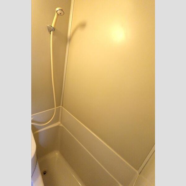 メゾンシャレー106号室 シャワー