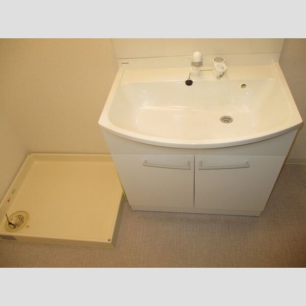 エコガーデン　C棟210号室 洗髪洗面化粧台、室内洗濯機置場