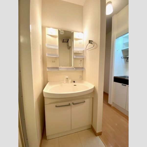 ポラリス 祖師谷 洗面台