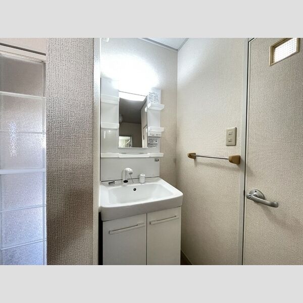 グリーンハイツ　A101号室 洗髪洗面化粧台