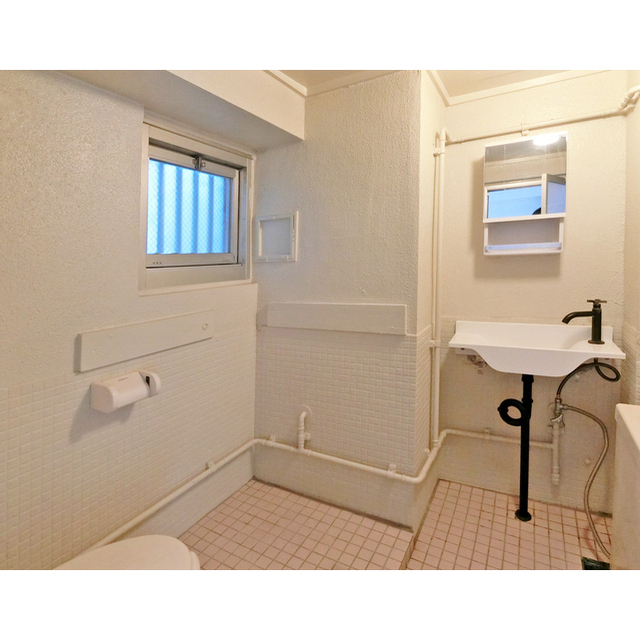 メゾン・ド・メルシー0907号室 洗面