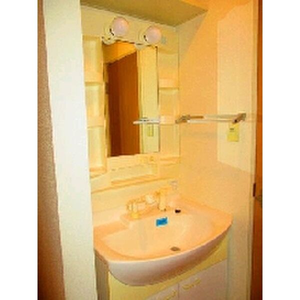 エメラルダス0206号室 洗面