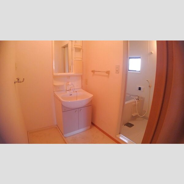 パピヨン四谷 洗面