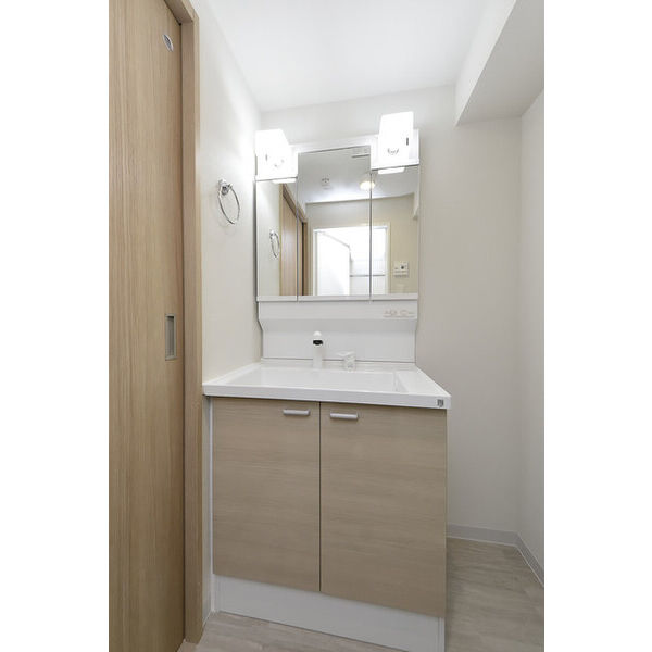 クリオ　ラモード学芸大学Ⅱ0306号室 洗面