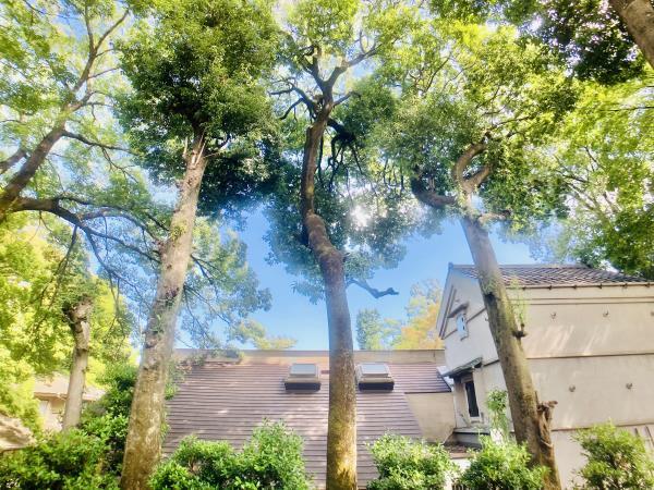 経堂ヒルズ1階 同建物別部屋の参考画像