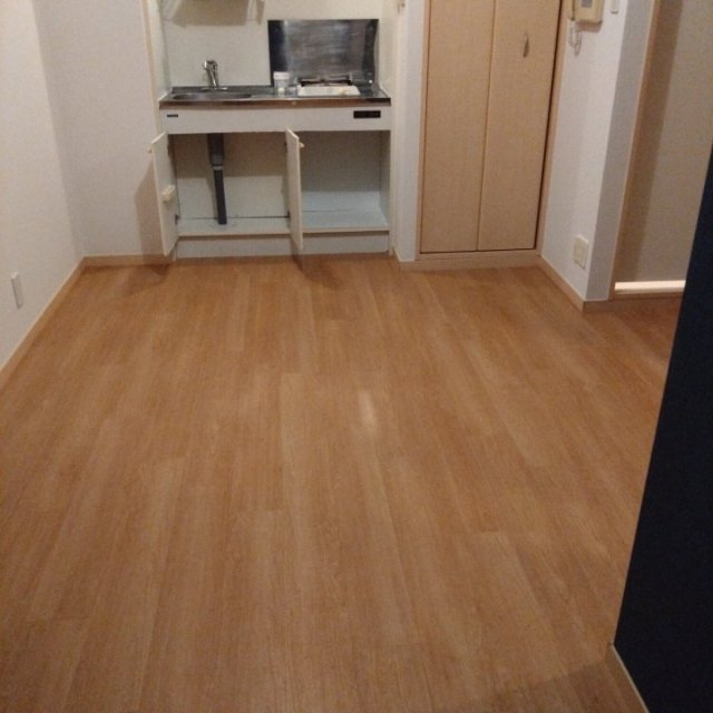 ソリテア四谷荒木町10階 部屋その他