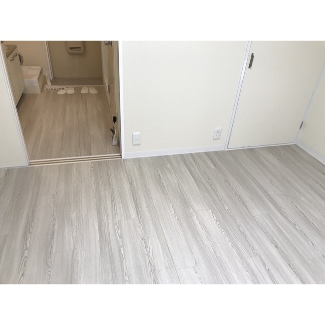 リエス伊勢原302号室 リビング