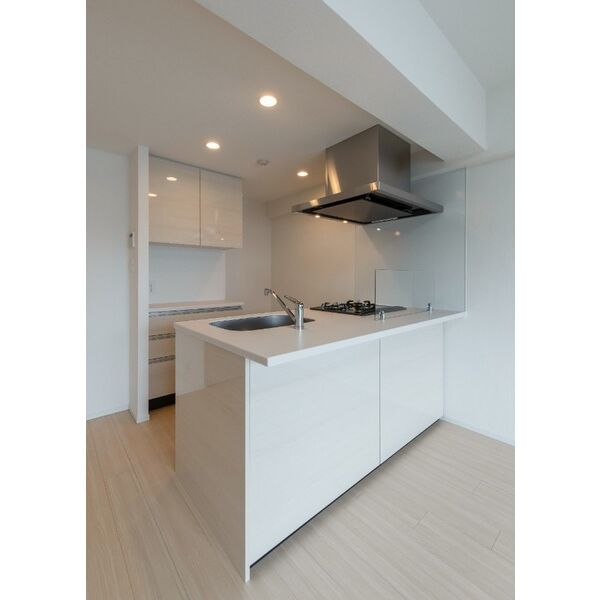 エルフォルテ東京EAST201号室 部屋その他