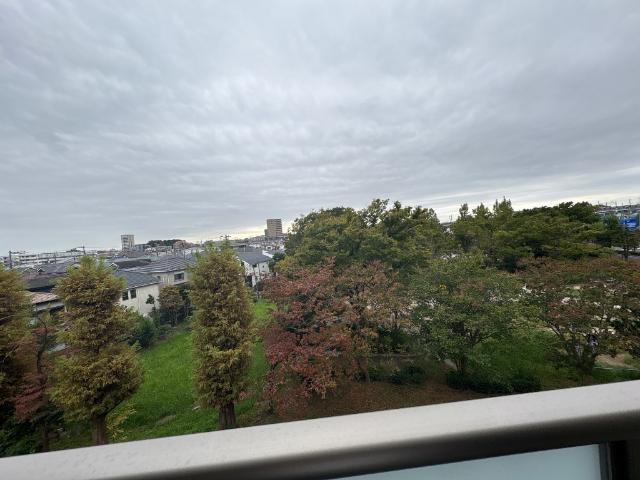 ｓｕｎｓｈｉｎｅ　ｒｅｓｉｄｅｎｃｅ303号室 ベランダ