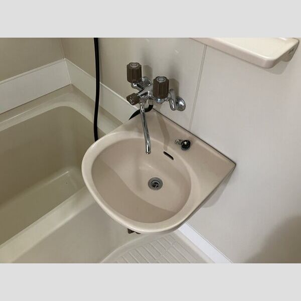 エステートピア202号室 洗面所