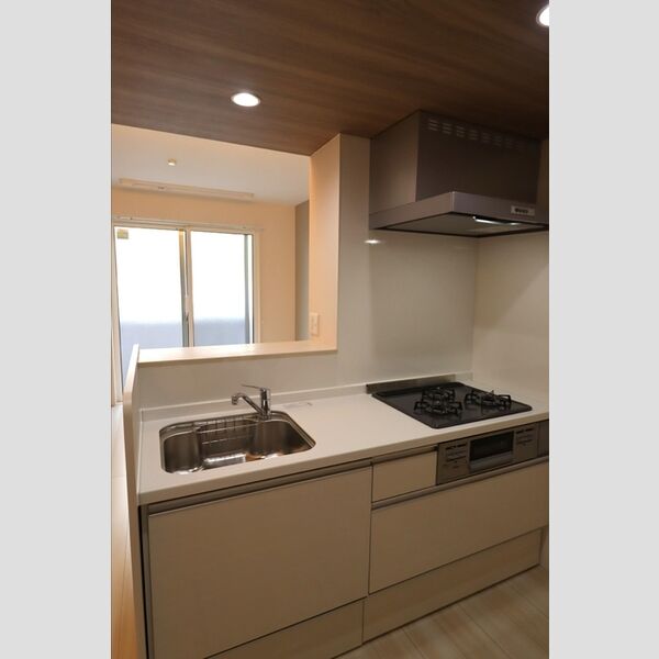 エクセリア中村北101号室 キッチン