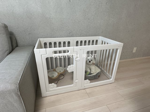 ＧＲＡＮ ＰＡＳＥＯ三宿Ⅱ2階 ペット飼育可能です。