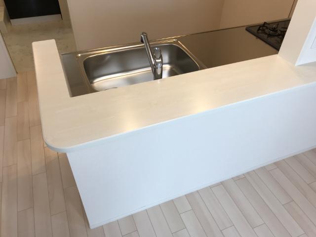 ルミナス カウンター