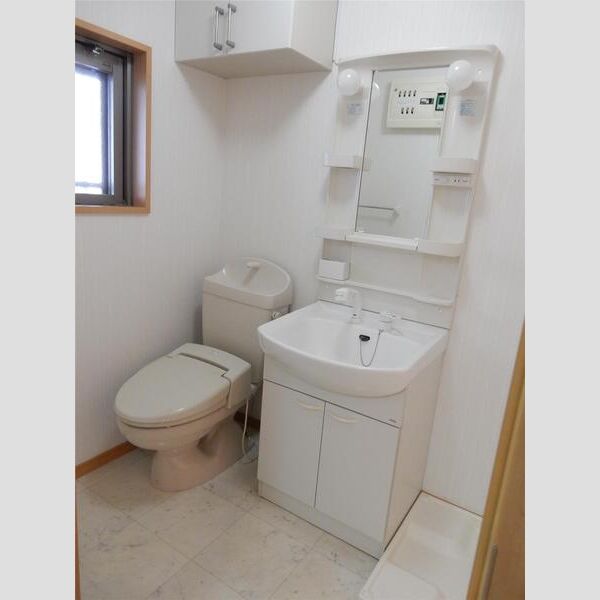 ダイワティアラ村上Ⅰ401号室 洗面