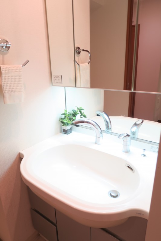 Duo Stage白金高輪1階 洗面