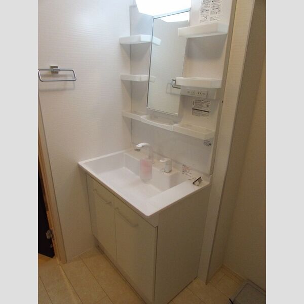 トップXI202号室 洗面所