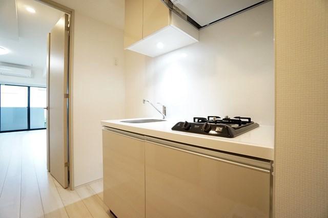 ALTERNA菊川Ⅱ3階 玄関