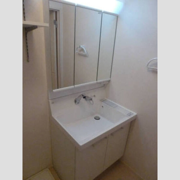 グレイス坂戸203号室 203洗面室