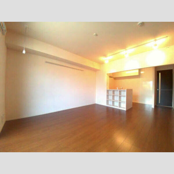 Excellent 101 カウンター収納付のLDK