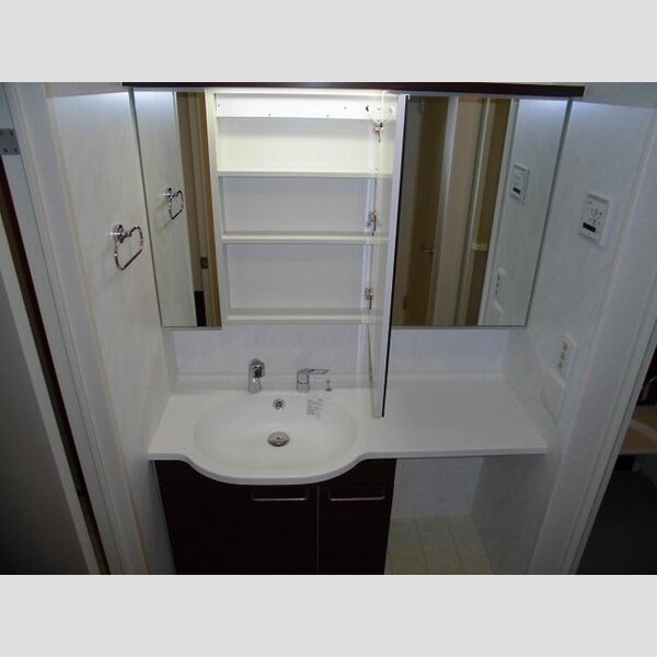 フォルテューヌ大和301号室 洗髪洗面化粧台