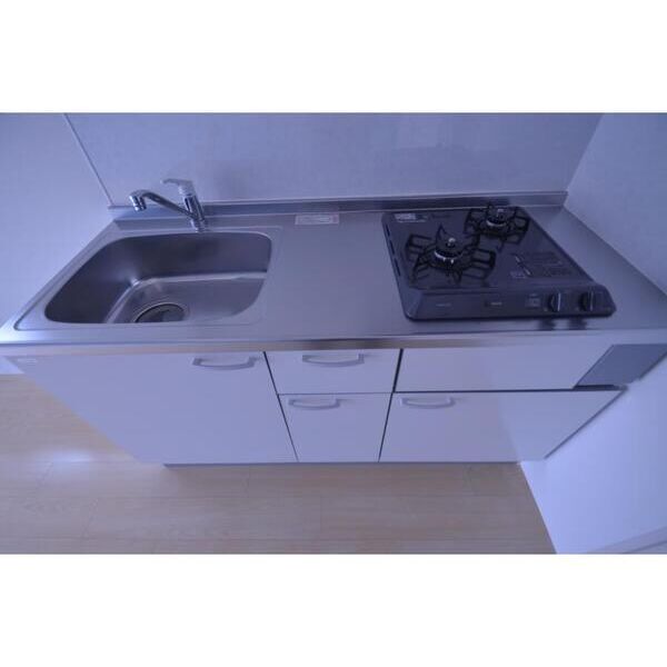 レジス飛鳥山公園 キッチン